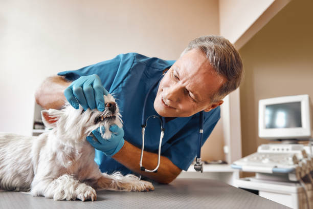 Best Emergency Gum Treatment in Coupeville, WA