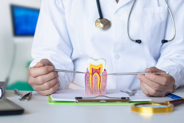 Best Emergency Tooth Extraction in Coupeville, WA